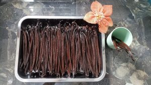 Photo 1 - Planifolia Gourmet 18cm-up (1)